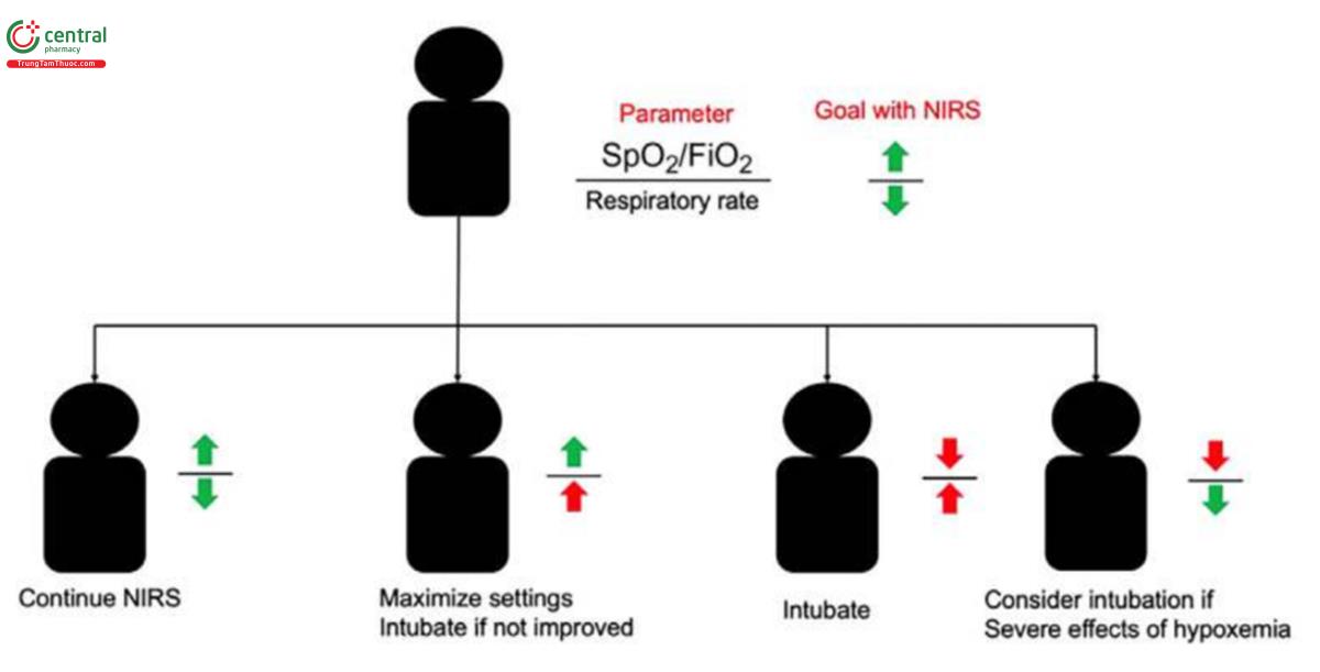 Hình 3 Theo dõi khái niệm về sự thất bại. Mục tiêu của NIRS là cải thiện oxygen hóa và giảm công thở. Mặc dù chỉ số ROX được phát triển để theo dõi NHF, nhưng về mặt khái niệm, nó cung cấp một khuôn khổ tuyệt vời để theo dõi lâm sàng bệnh nhân thất bại. Khung này không toàn diện và có một số hạn chế, nhưng oxygen hóa được xác định bằng tỷ lệ SpO2/FiO2 (một chỉ số về mức độ nghiêm trọng của shunt trong phổi) và công thở theo nhịp thở. Nếu bệnh nhân cần FiO2 thấp để duy trì độ bão hòa oxy tốt (tỷ lệ SpO2/FiO2 cao) và nhịp thở giảm, hãy tiếp tục NIRS và theo dõi. Tuy nhiên, nếu nhịp thở vẫn cao (thường >30) trên NIRS được tối ưu hóa (lưu lượng tối đa trên NHF và áp lực tối ưu trên NIPPV), bệnh nhân nên được đặt nội khí quản. Nếu cả hai thông số đều không được cải thiện, bệnh nhân nên được đặt nội khí quản sớm vì NIRS không đạt được mục tiêu. Tình huống khó khăn hơn là bệnh nhân có nhịp thở được cải thiện nhưng vẫn cần FiO2 cao để duy trì mức oxy chấp nhận được hoặc ở mức cận biên ở mức bão hòa (tỷ lệ SpO2/FiO2 thấp). Trong trường hợp này, miễn là công thở giảm, các lựa chọn là thêm thuốc giãn mạch phổi dạng hít, dung nạp tình trạng thiếu oxy nếu không có dấu hiệu rối loạn chức năng cơ quan hoặc đặt nội khí quản. NIRS, hỗ trợ hô hấp không xâm lấn; NHF, lưu lượng mũi cao; NIPPV, thông khí áp lực dương không xâm lấn.