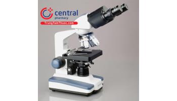 Cấu tạo của kính hiển vi quang học gồm những bộ phận nào? Cách sử dụng và bảo quản kính hiển vi quang học