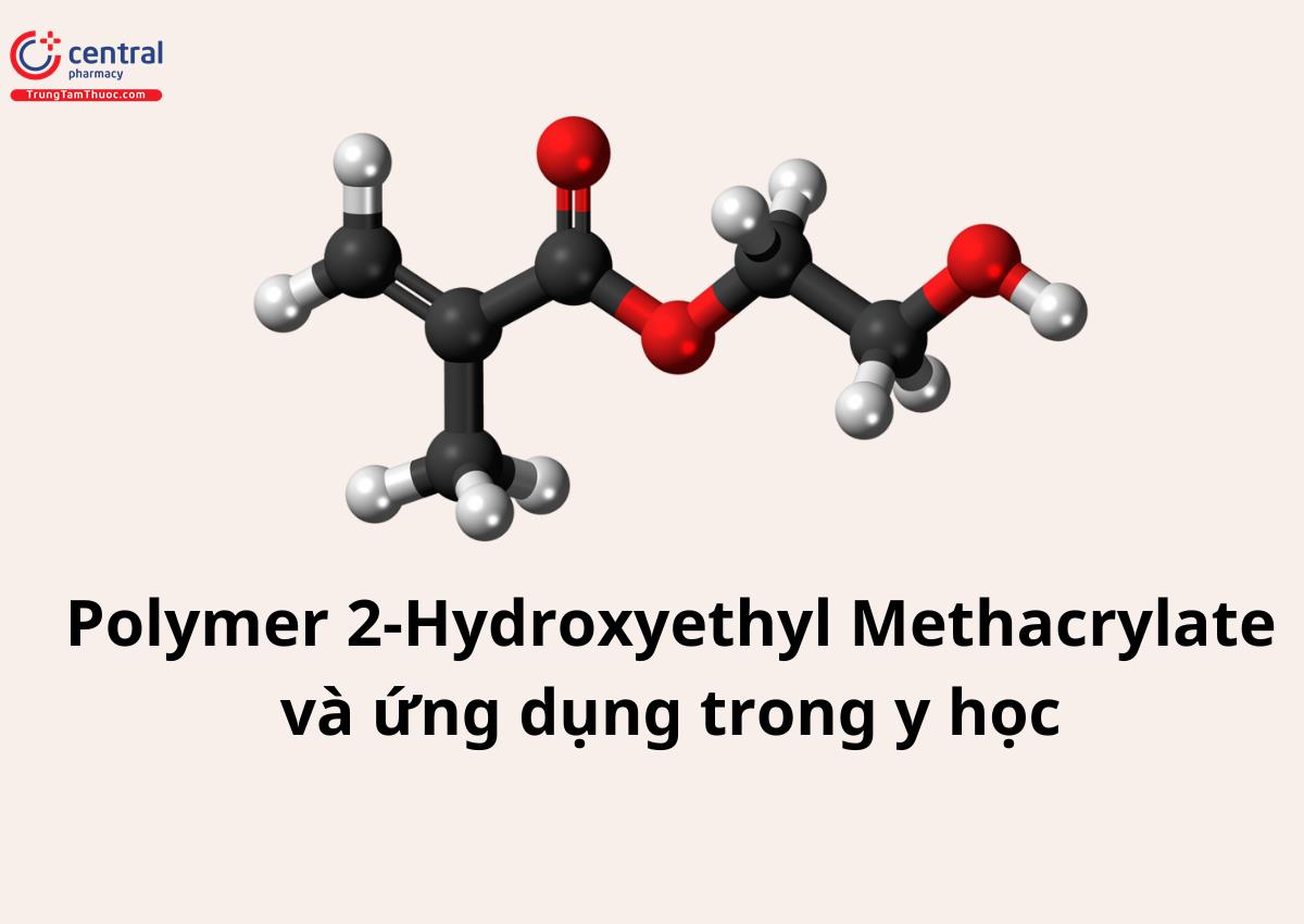 Polymer 2-Hydroxyethyl Methacrylate