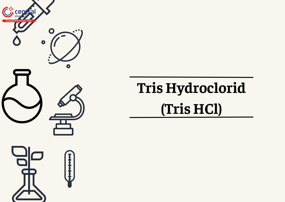 Tris Hydroclorid (Tris HCl)