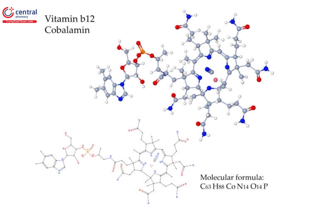 Vitamin B12 (Cyanocobalamin, Mecobalamin)
