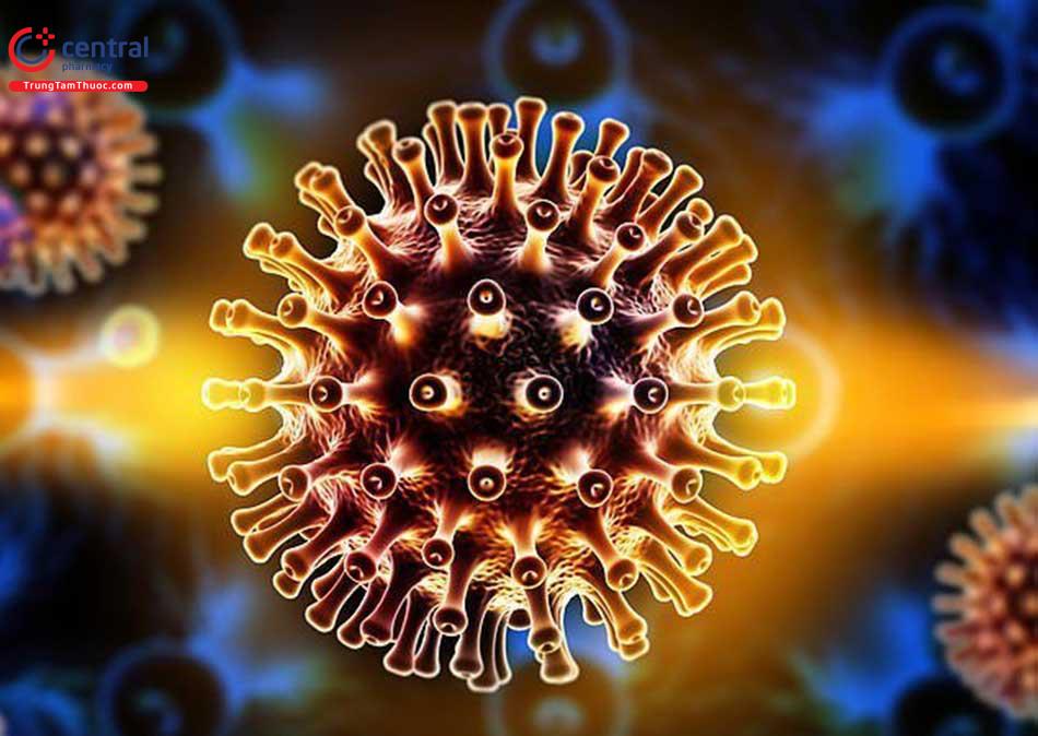 Hình ảnh Virus HIV