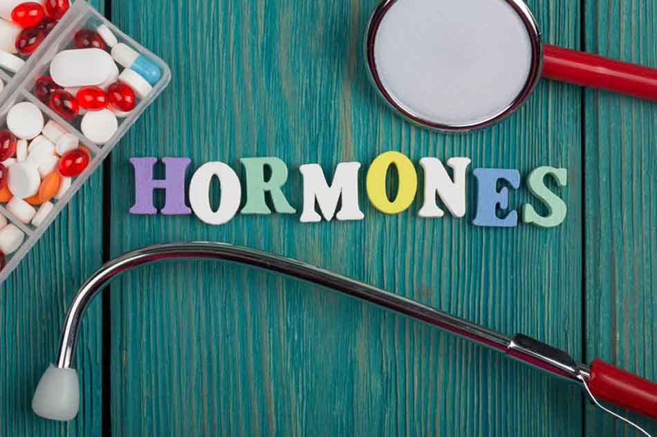 Hormon là gì?
