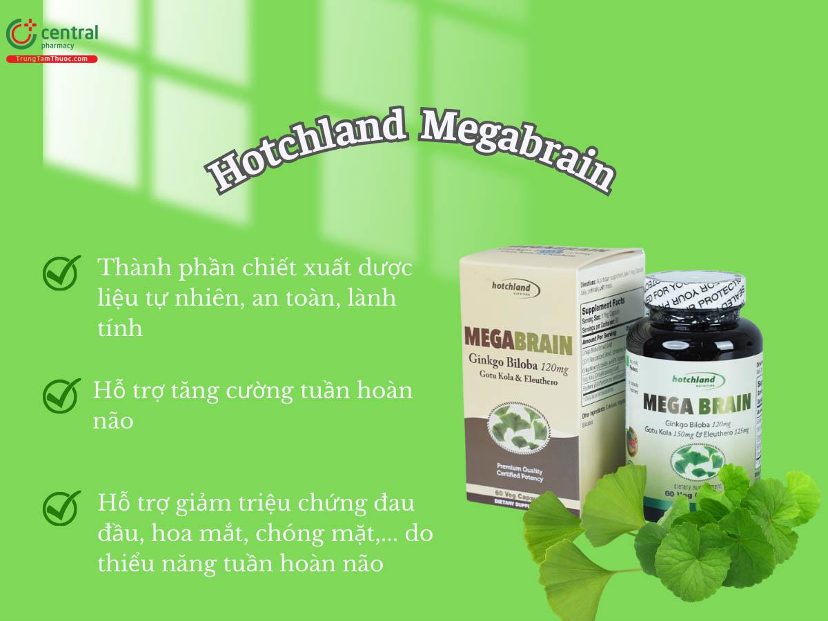 Hotchland Megabrain