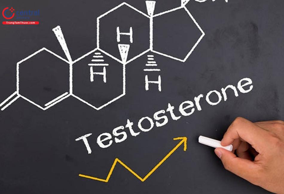Nandrolone hoạt động giống như hormone Testosterone