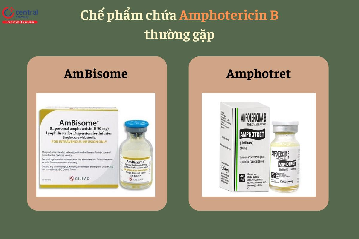 Một số chế phẩm chứa Amphotericin B thường gặp