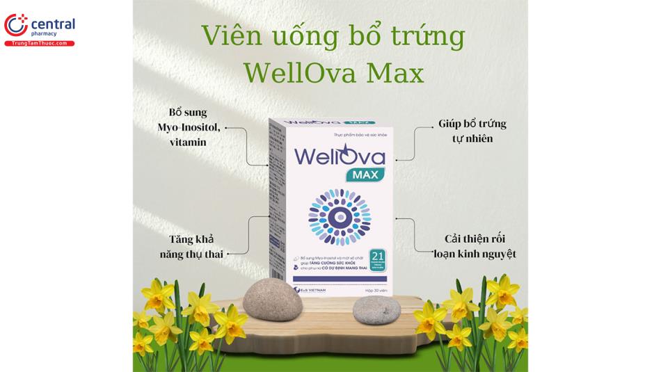 Công dụng của viên bổ trứng WellOva Max
