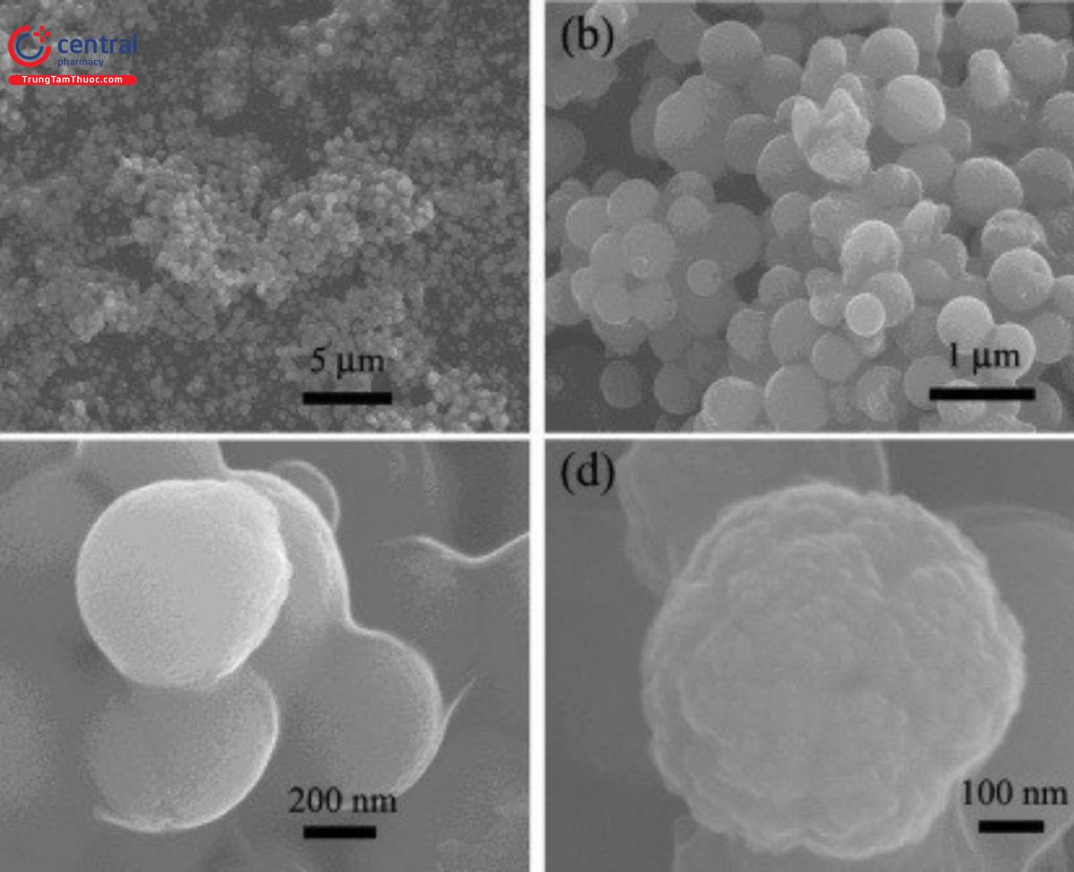 Kích thươc nanomet của Calcium Carbonat Nano