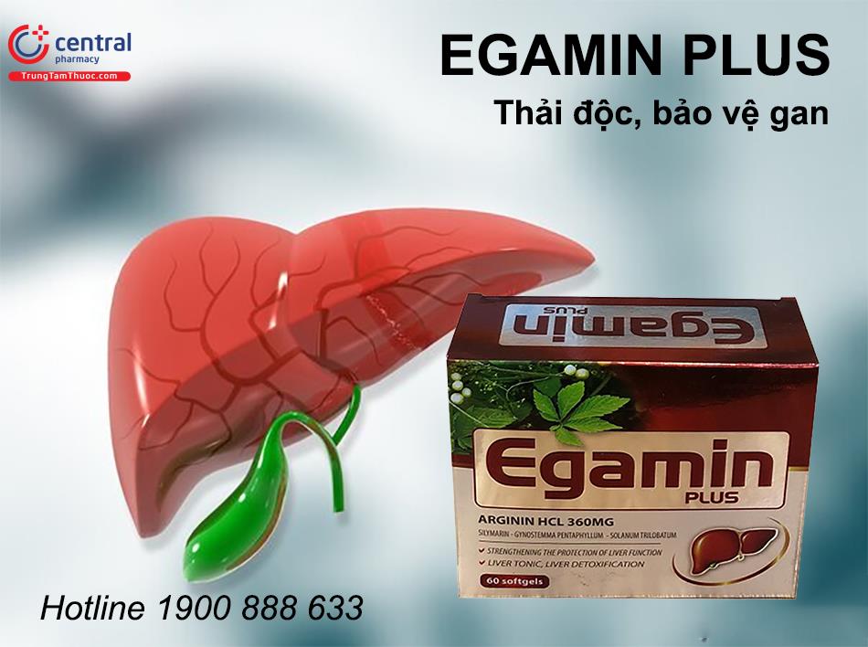 Egamin Plus Dược phẩm Thăng Long