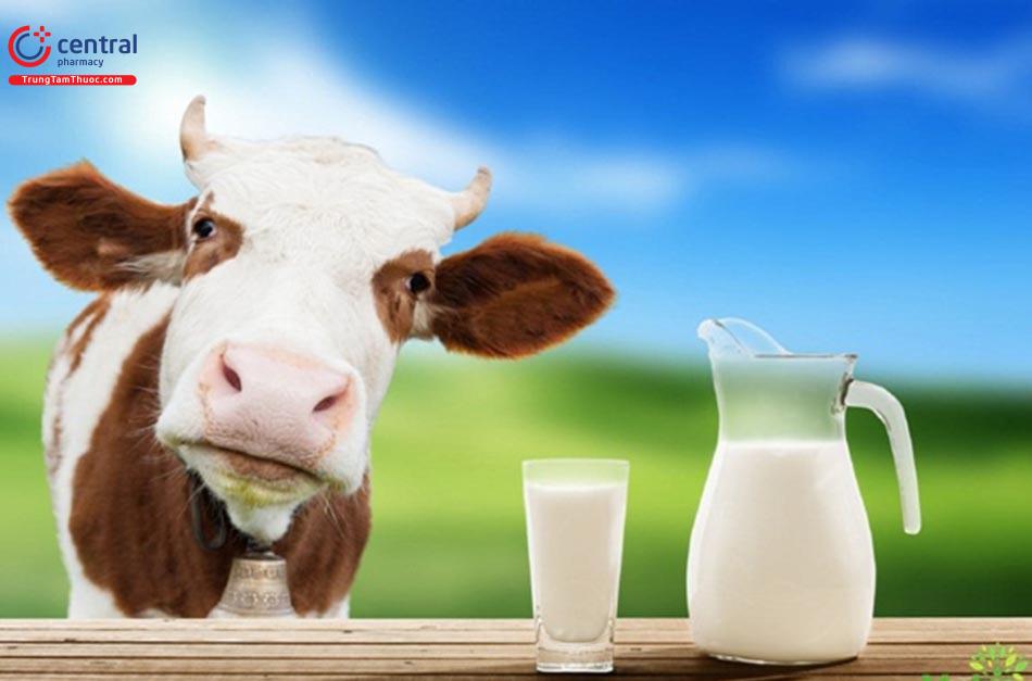 Sữa thanh trùng có hương vị giống sữa nguyên bản