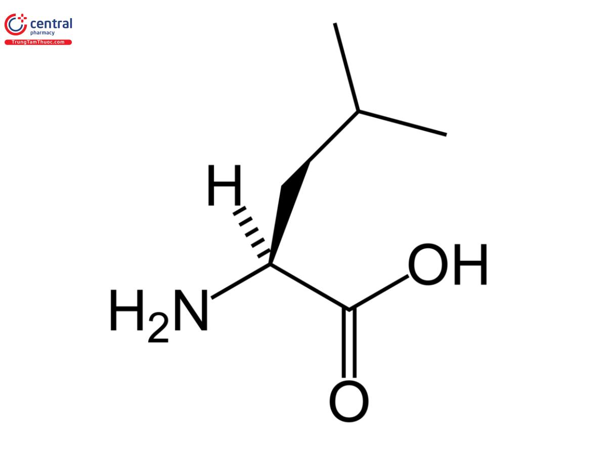 Công thức hóa học của L-Leucine