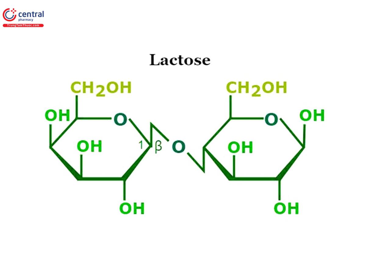 Công thức cấu tạo Lactose