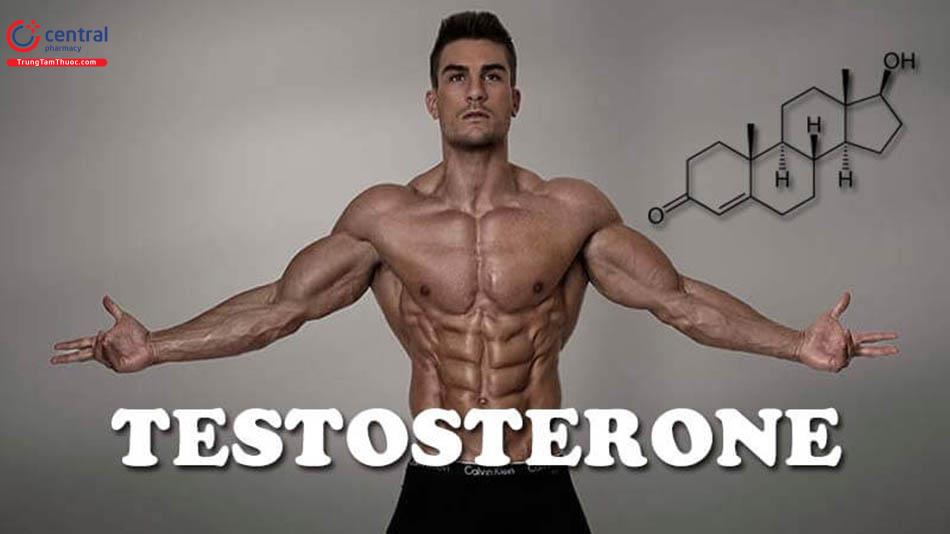 Bổ sung Testosteron làm chậm quá trình mãn dục nam