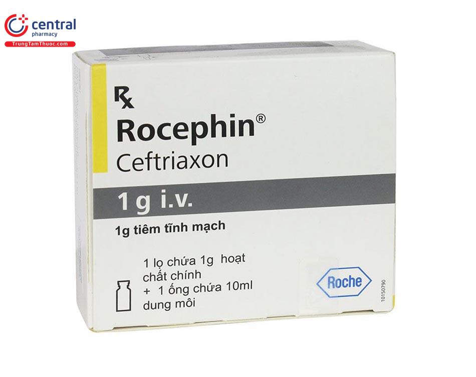 Hình ảnh minh họa thuốc Rocephin 1g