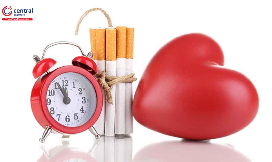 Khói thuốc lá gây hại cho tim mạch