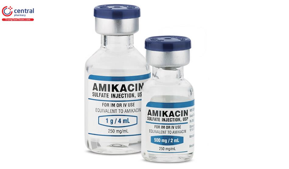 Thuốc Union Amikacin