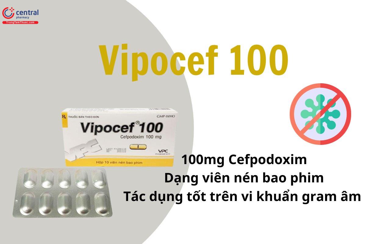 Thuốc Vipocef 100