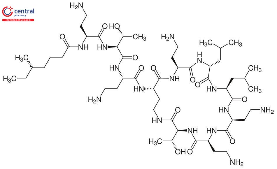 Cấu trúc hoá học của kháng sinh colistin