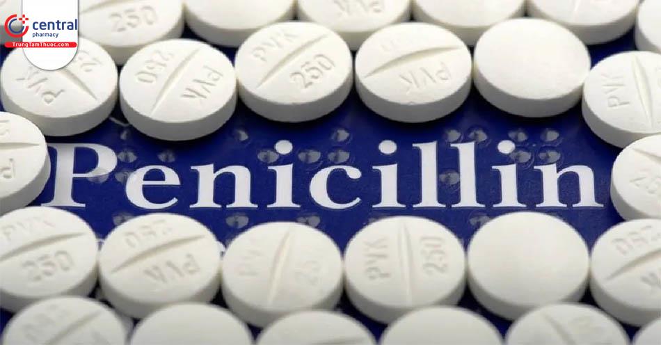 Nhóm kháng sinh Penicillin: Những điều cần biết từ A-Z