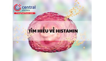 Tìm hiểu về Histamin: sinh tổng hợp, chuyển hóa và tác dụng sinh học