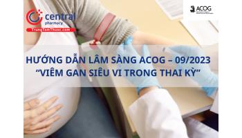 Hướng dẫn lâm sàng 'Viêm gan siêu vi trong thai kì' mới nhất ACOG - 9/2023