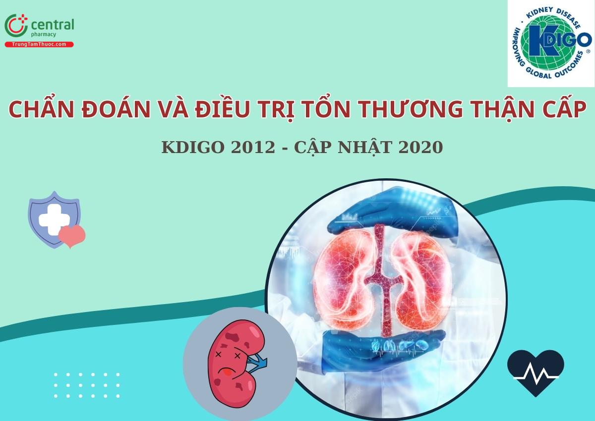 Chẩn đoán và điều trị tổn thương thận cấp - KDIGO 2012 - Cập nhật 2020
