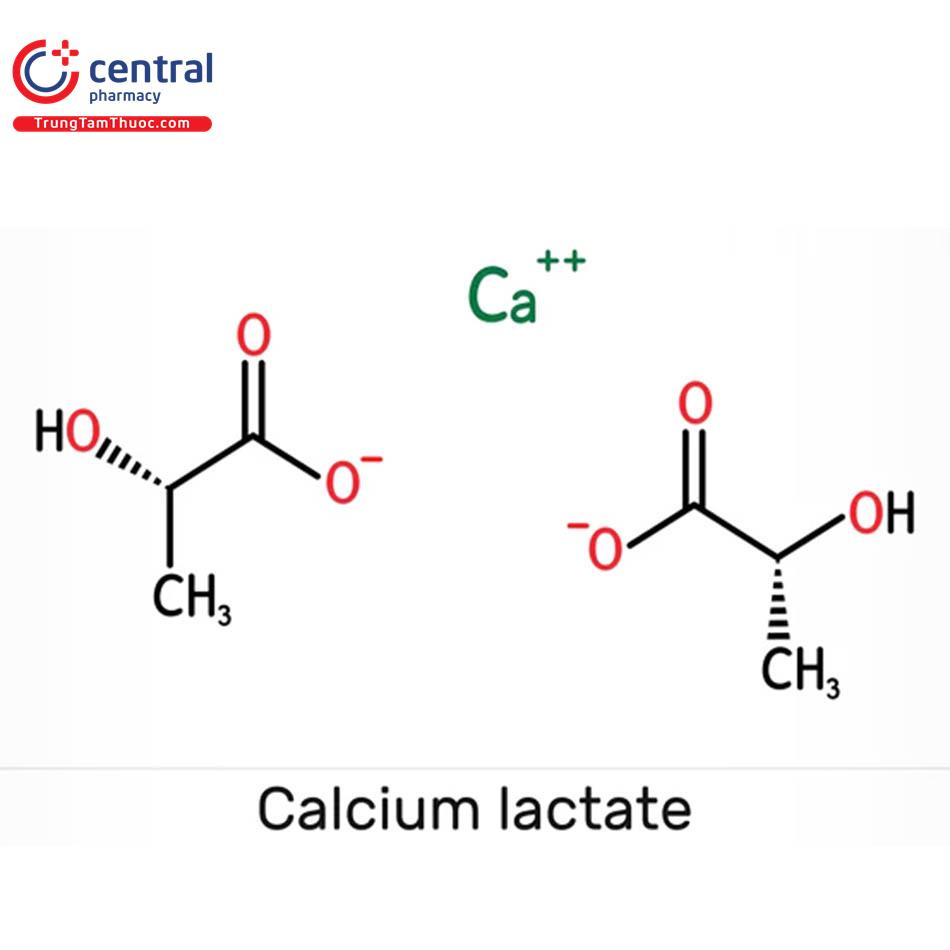 Calci Lactat (Calcium Lactate)