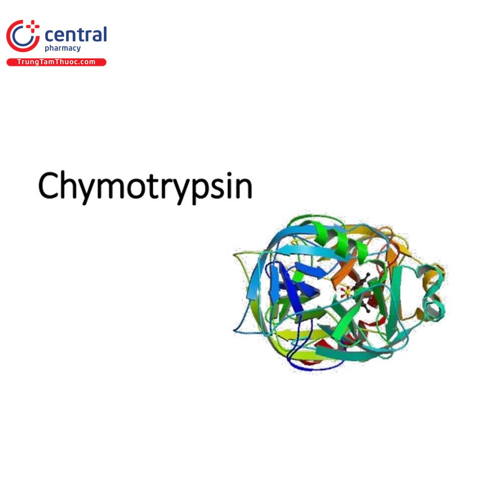 Chymotrypsin (Alpha-chymotrypsin)