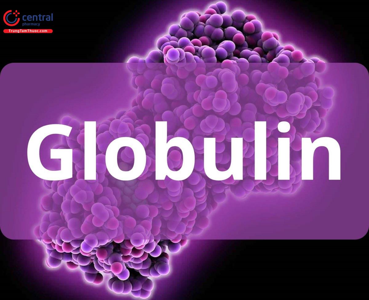 Globulin