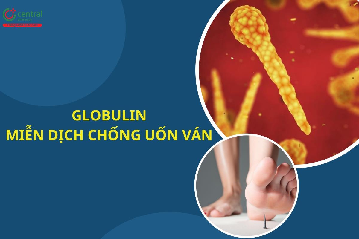 Globulin - Miễn dịch chống uốn ván