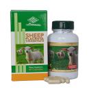 sheep placenta concentrate 4 H2428 130x130px
