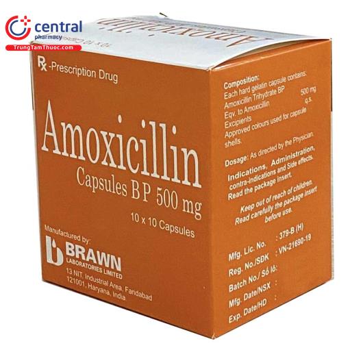 Ch Nh H Ng Thu C Amoxicillin Capsules Bp Mg Brawn