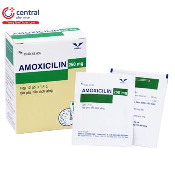  Amoxicillin 250mg Bidiphar