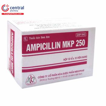 Ampicillin MKP 250