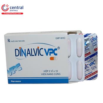 Dinalvic VPC