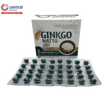 Ginkgo Natto Plus Vinaphar