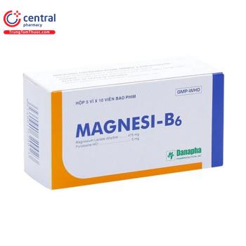 Magnesi- B6 Danapha
