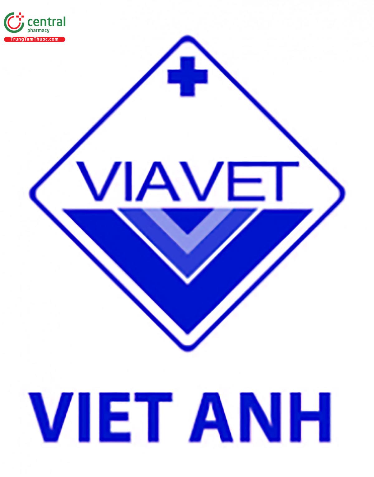 Công ty cổ phần Đầu tư liên doanh Việt Anh