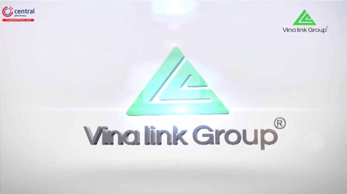 Vina-Link Group