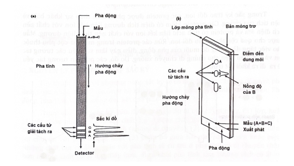 Hình 1. Sơ đồ nguyên tắc