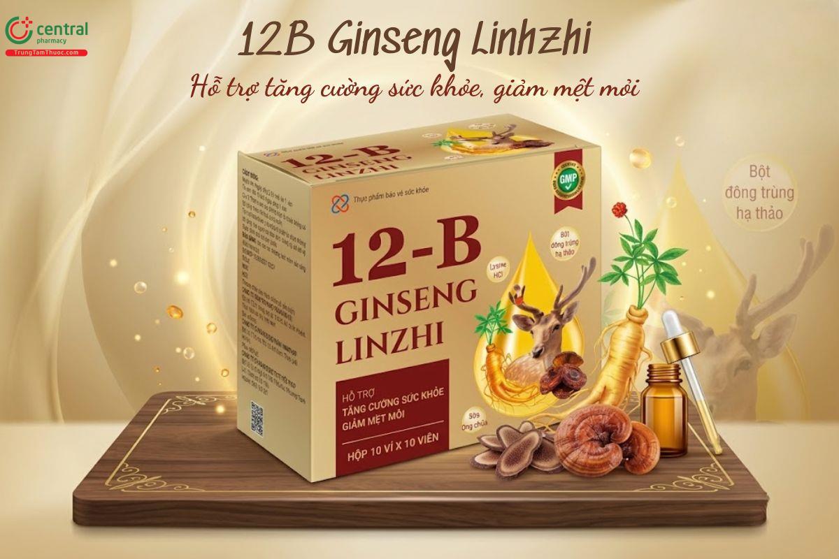 12B Ginseng Linhzhi bồi bổ cơ thể, tăng cường sức khỏe, giảm mệt mỏi
