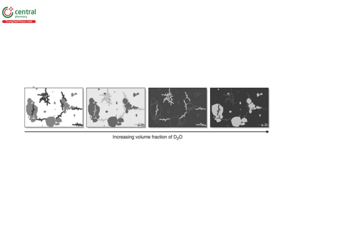 Figure 2. Schematic illustration of how contrast matching might be used in a hypothetical SANS study of a dispersion containing polymer/surfactant and drug particles. The scattering from all four figures would be different. The first and last would differ only in overall intensity, but the form of the scattering from these would differ from the forms of the second and third figures, which highlight different components of the sample.