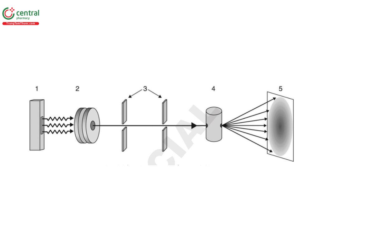Figure 3. Schematic representation of a generic SAS instrument.