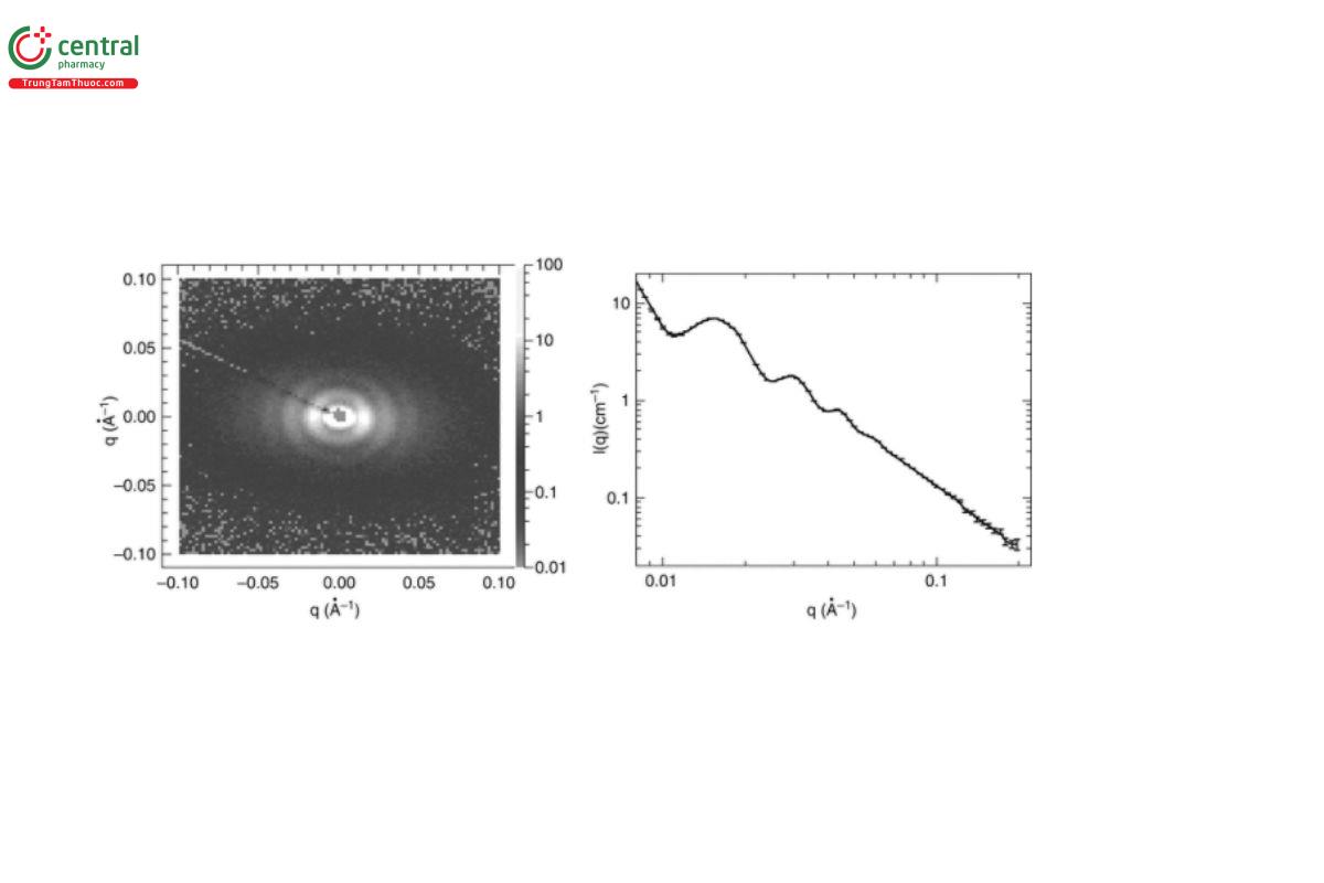 Figure 4. Two representations of the SAS (in this case, SANS) from the same aqueous dispersion of elongated surfactant micelles. The sample has gelled to form a lyotropic liquid crystalline phase exhibiting lamellar order (at least 4 orders of diffraction are visible as rings or peaks). The lamellae have then aligned vertically (giving rise to an anisotropic 2D pattern along the equatorial direction on the detector) as a result of the shear field imposed when the sample was injected into the sample cuvette.