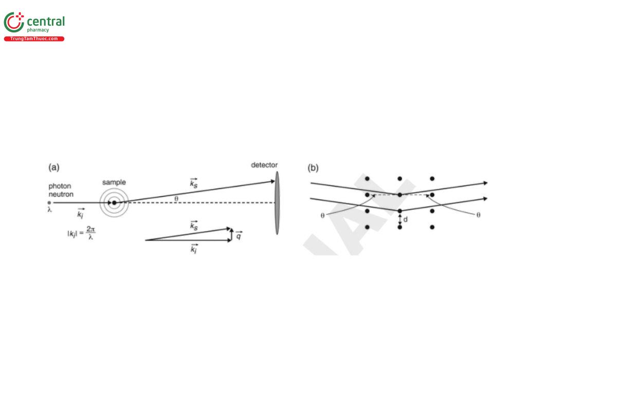 Figure 1. (a) The geometry of an SAS experiment, where k_i and k_s are the incident and scattered wave vectors and q is the resultant scattering vector. (b) Schematic representation of diffraction from atoms in a sample.