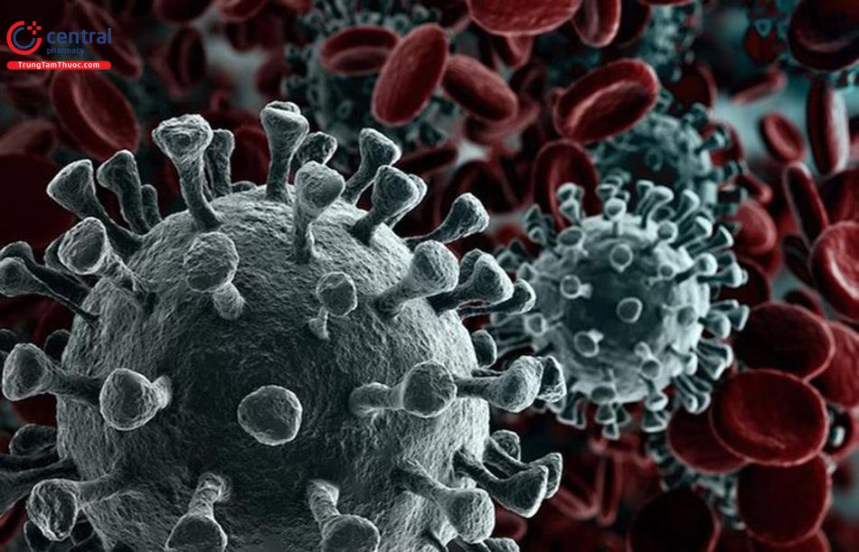 Hình ảnh minh họa virus corona 