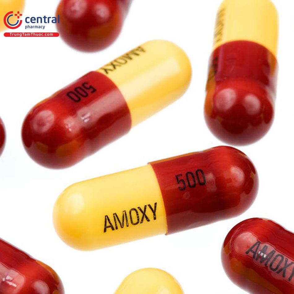 Hình ảnh minh họa thuốc Amoxicillin
