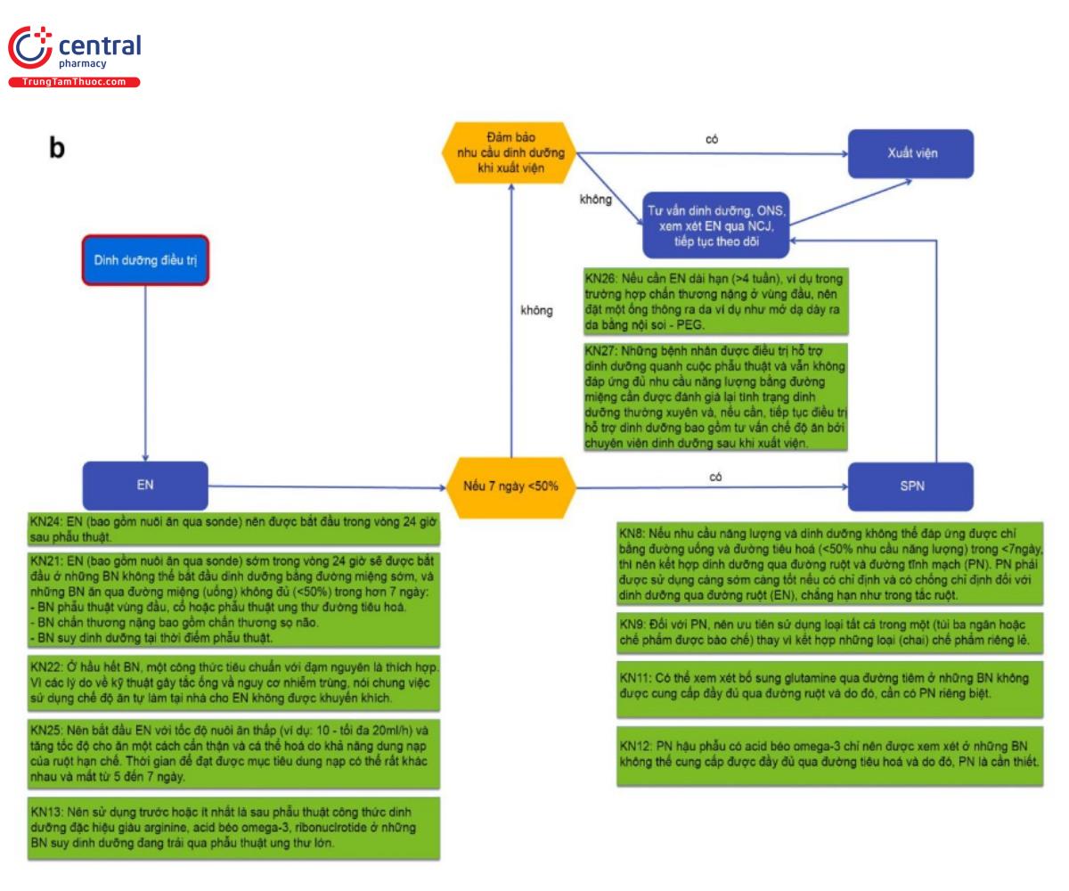 Lưu đồ 3b. Điều trị dinh dưỡng sau phẫu thuật