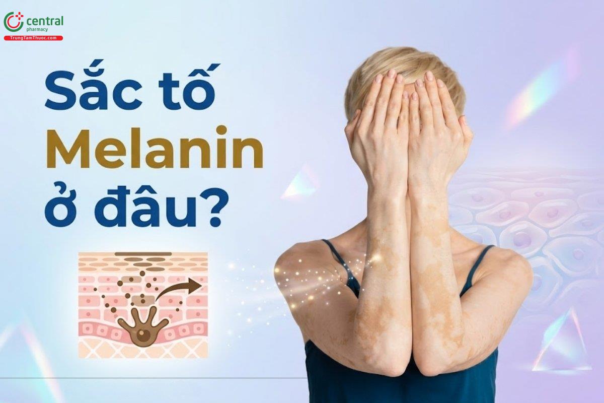 Sắc tố Melanin ở đâu?