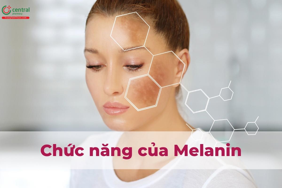 Chức năng của Melanin